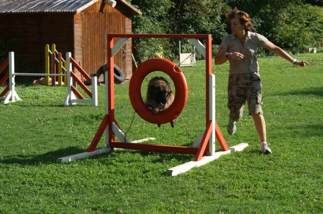 agility 2011-08